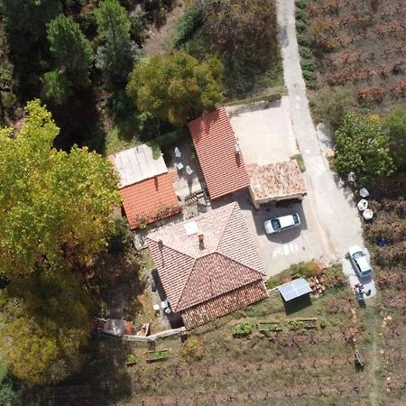 La Limonera Guest House Riópar Екстериор снимка