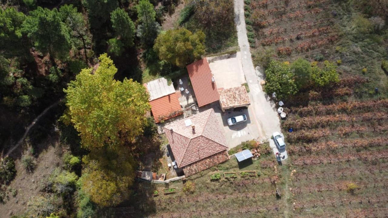 La Limonera Guest House Riópar Екстериор снимка