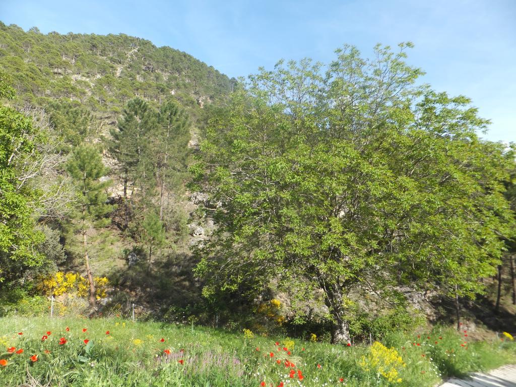 La Limonera Guest House Riópar Екстериор снимка